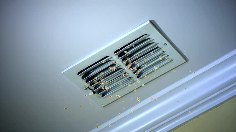Best Air Duct Cleaning Near Me  in Union, NJ